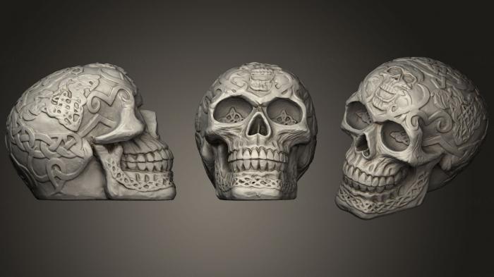 Anatomy of skeletons and skulls (ANTM_0346) 3D model for CNC machine